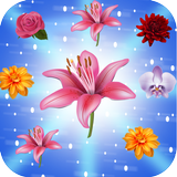 Harvest Blossom Mania icon