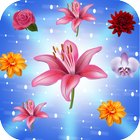 Harvest Blossom Mania иконка