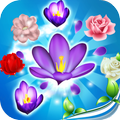 Blossom Frenzy Mania