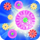 Blossom Crush Mania APK