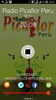 Radio Picaflor Peru постер