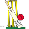 Latest Cricket News APK