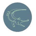 Croc Zero - Privacy Focused Br-icoon