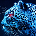 blue cheetah wallpaper آئیکن