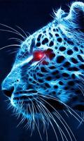 blue cheetah wallpaper โปสเตอร์