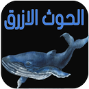 لعبة الحوت الازرق APK