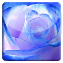 Blue Rose HD LiveWallpaper APK