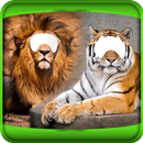 Tiger And Lion Photo Montage APK