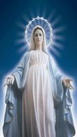 Virgin Mary Wallpaper plakat