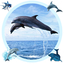 Blue Whale Picture Editor APK