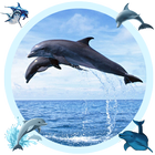Blue Whale Picture Editor アイコン
