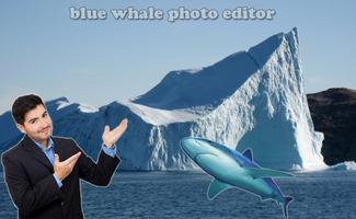 Blue Whale Picture Editor スクリーンショット 3