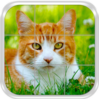 Cats Slide Puzzle Game icon