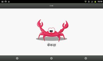 Animal Name FlashCard اسکرین شاٹ 1