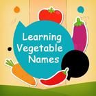 Learning Vegetable Names icône