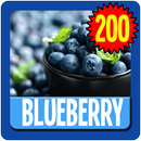 Blueberry wallpaper HD APK