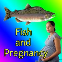 Fish and Pregnancy Affiche