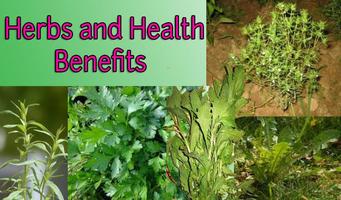 Herbs and Health Benefits syot layar 1