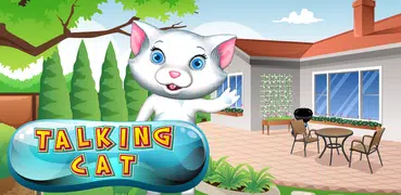 falando gato