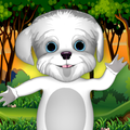 Talking Dog