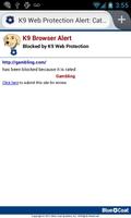 K9 Web Protection Browser screenshot 2