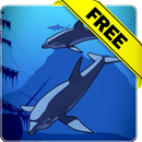 Anime dolphins Free lwp APK