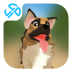 Trail Run APK
