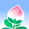 Forget Me Not for simple life APK