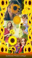 Sunflower Photo Collage Affiche
