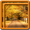 automne live wallpapers