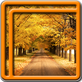 automne live wallpapers icône