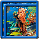 Korallenriff Live-Wallpaper APK