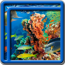 Coral Reef Live Wallpapers APK