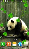 Cute Panda Live Wallpapers স্ক্রিনশট 2