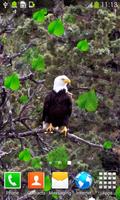 2 Schermata uccelli di foresta Live Wallpa