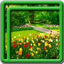 Garten Live-Wallpaper - kostenlose Live Wallpaper APK