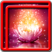 Glow Flower Live Wallpapers - Free Live Wallpapers