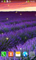 3 Schermata lavanda live wallpapers