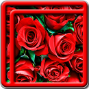 dag live wallpapers moeder-APK