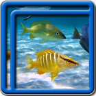 آیکون‌ Ocean Fish Live Wallpapers