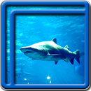 requin live wallpapers APK