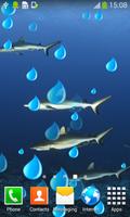 requin live wallpapers capture d'écran 3