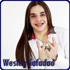 Wesley Safadão-icoon