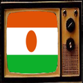 TV From Niger Info