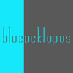 Blue Ocktopus -Retail Loyalty