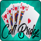 آیکون‌ Call Bridge Pro