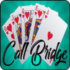 Call Bridge Pro icône