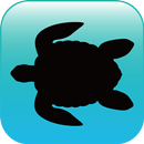 블루래빗바다 - AR APK