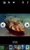 deep sea animals capture d'écran 1