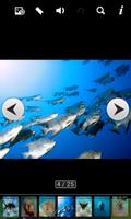 deep sea animals capture d'écran 2